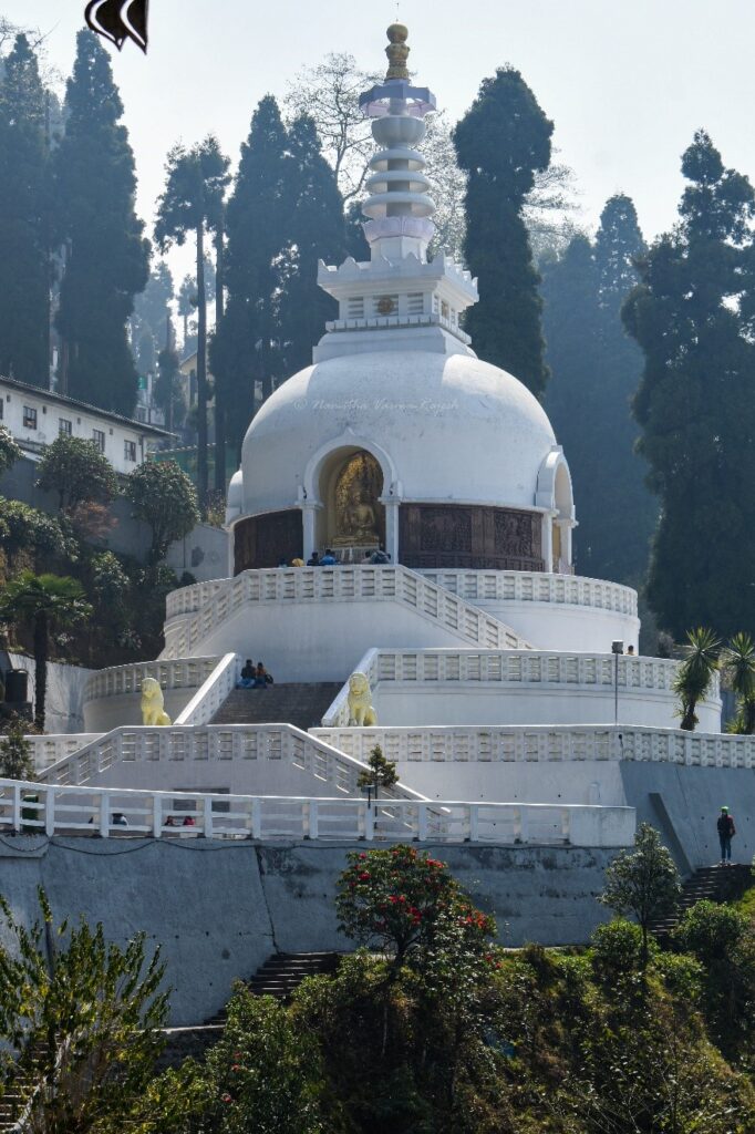  The iconic Peace Pagoda, Darjeeling 