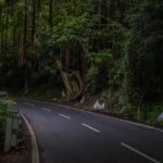 How to Plan for a Long Workcation: My Experience of Planning a 31-day Road Trip + Workcation + Vacation from Bangalore