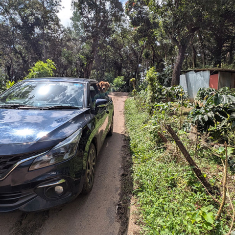 Pune to Coorg distance, route, places to stay