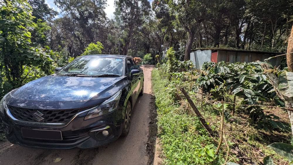 pune-coorg-road-trip