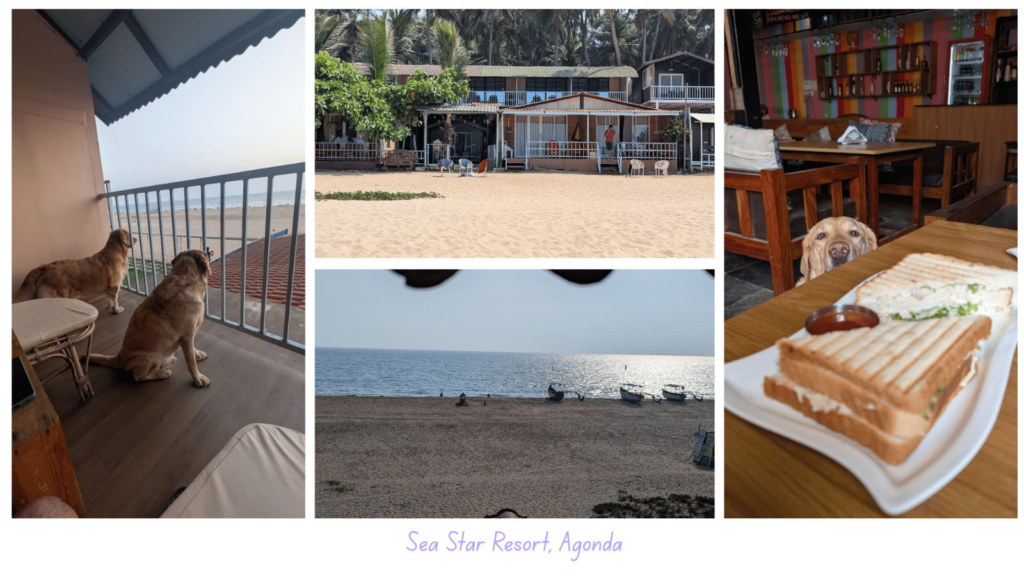 Sea Star Resort – Agonda