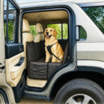 Travelling with dogs in India